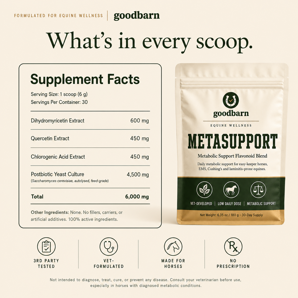 Equine Wellness - MetaSupport